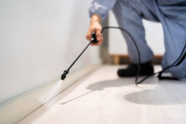 Licensed Termite Control service in Hudson, IL - Nex Pest Control