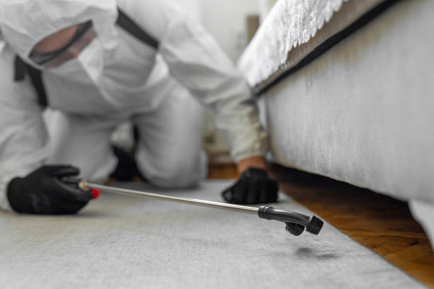 Professional Termite Control technician working in Hudson, IL