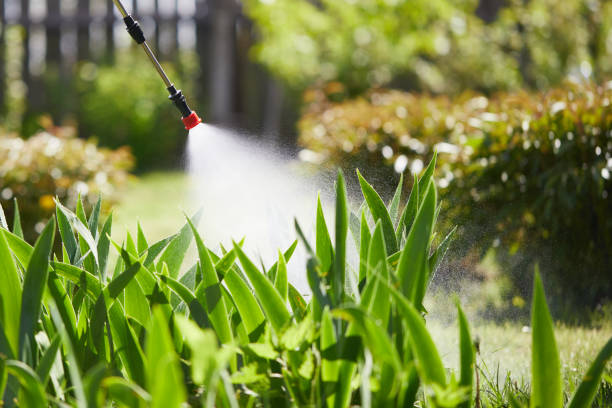 24/7 Emergency Termite Control experts in Hudson, IL