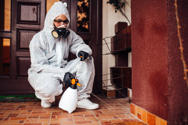 Reliable Termite Control contractor in Hudson, IL by Nex Pest Control