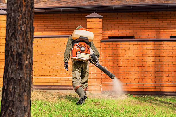 Top rated local Termite Control specialists in Hudson, IL